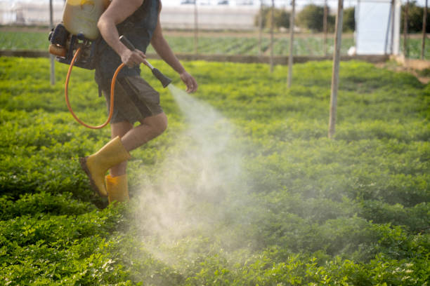 Best Best Pest Control Companies  in Miami Lakes, FL