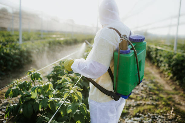 Best Pest Removal Services  in Miami Lakes, FL